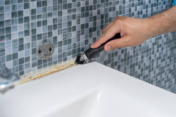 Best Mold Testing and Inspection Services in Opelika, AL